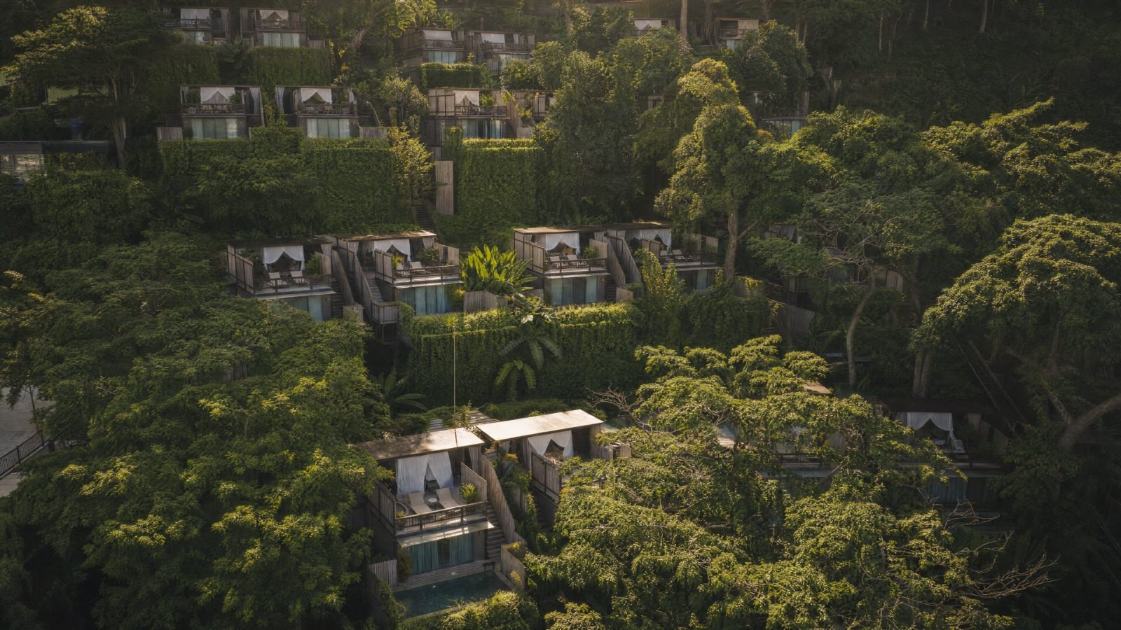 The Villas — Rainforest Canopy
