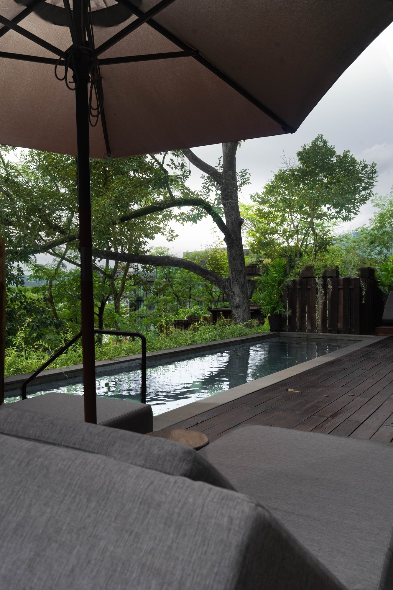 The Pool — Canopy