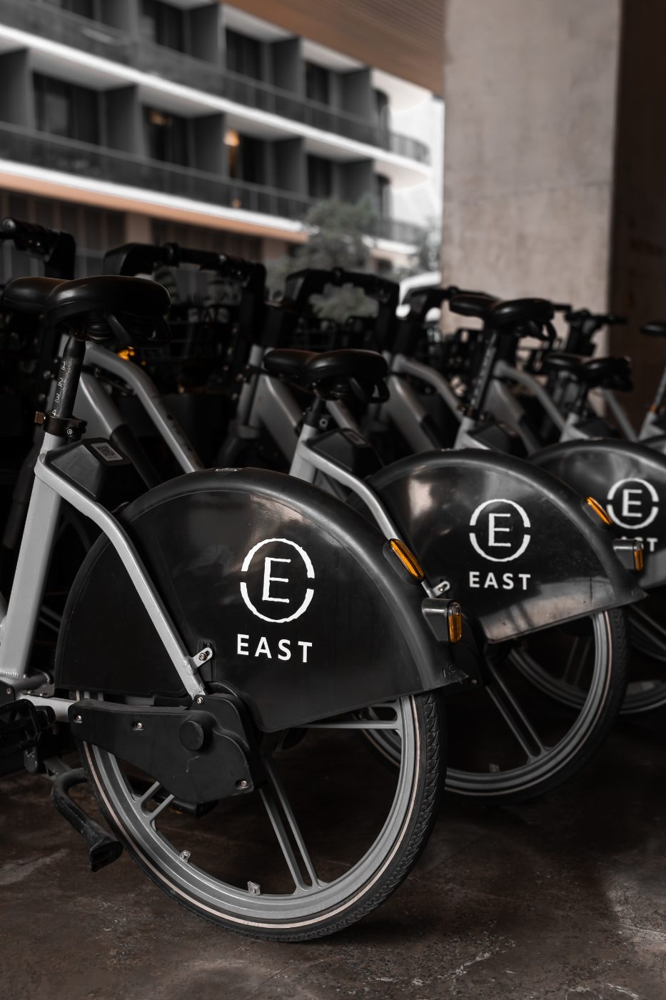 The Forecourt — House Bicycles