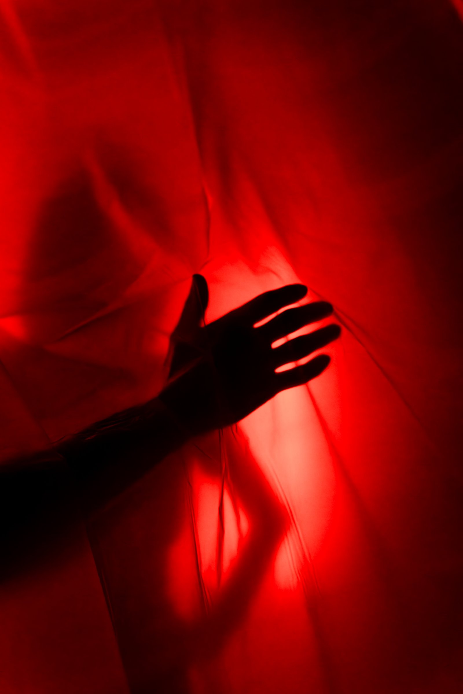 LUCENT Los Angeles, The Florence Legacy — Crimson Profile