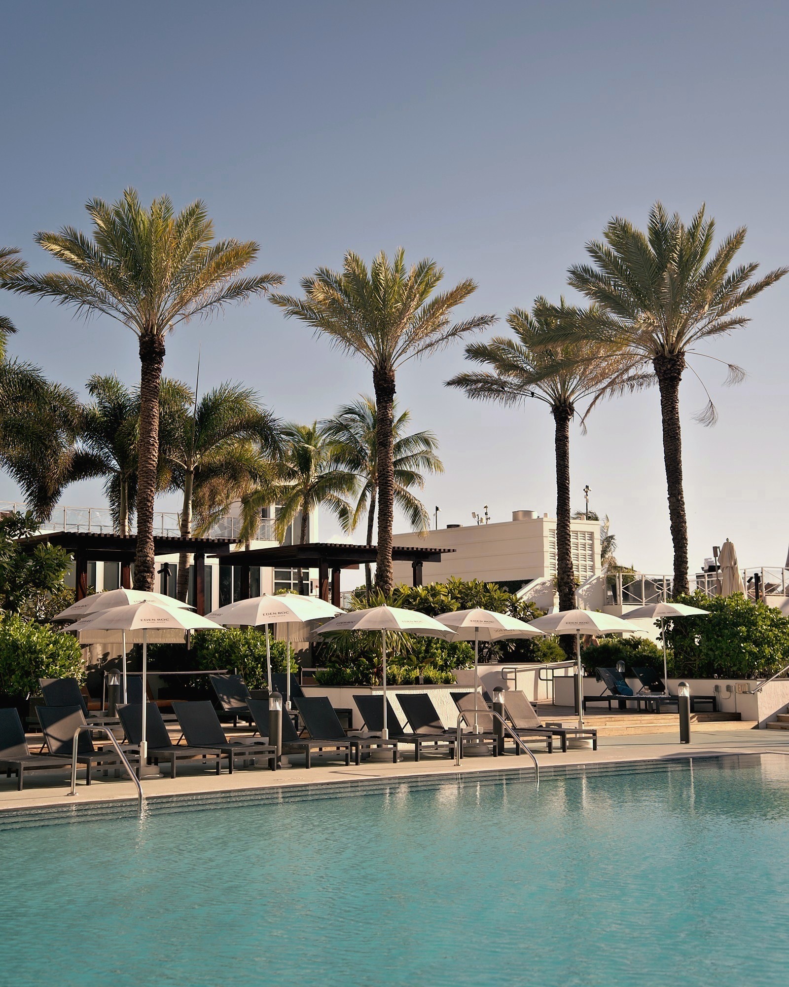 The Pool — Palms & Parasols