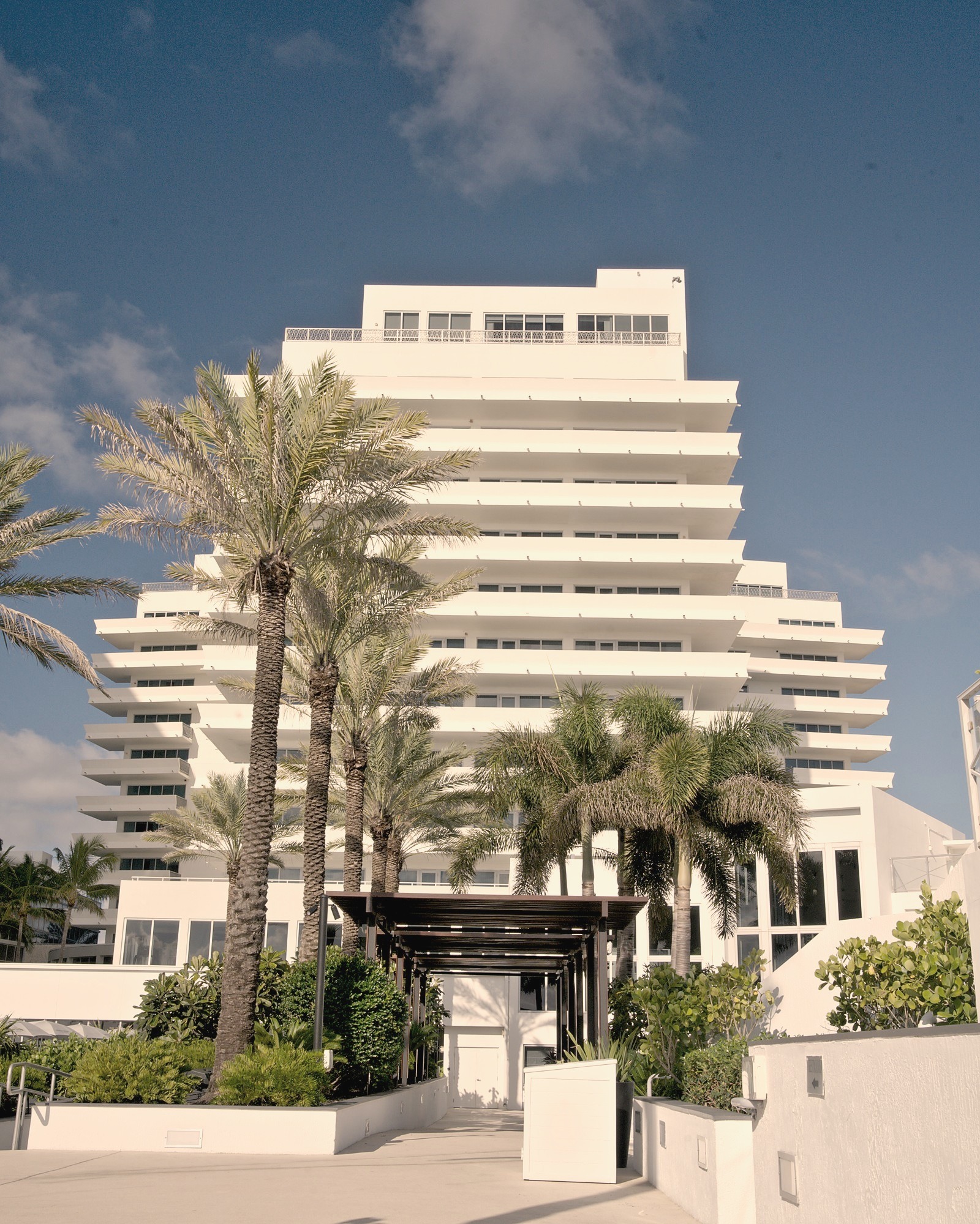The Hotel — Palms & Façade