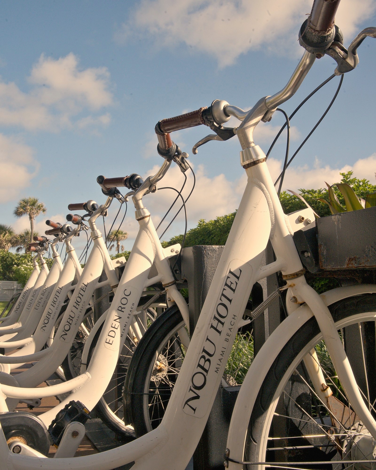 House Bicycles