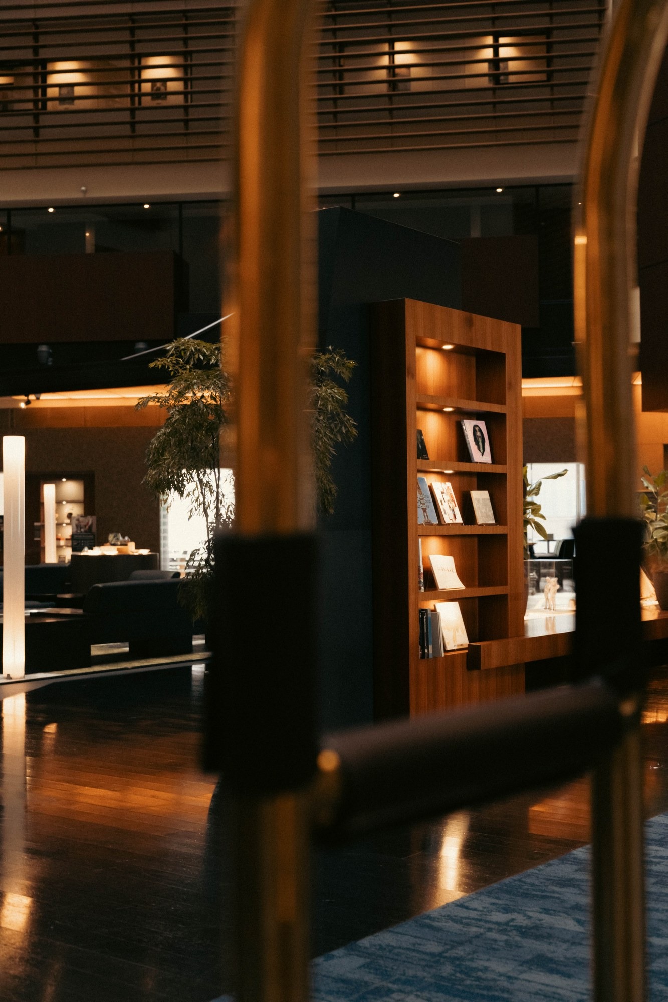 The Library