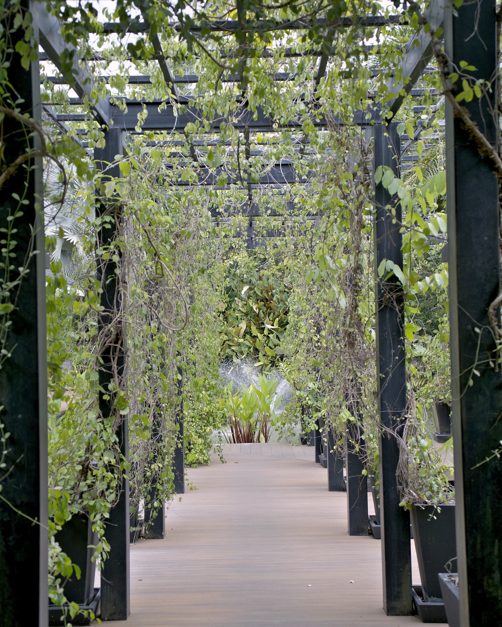 The Pergola Walk