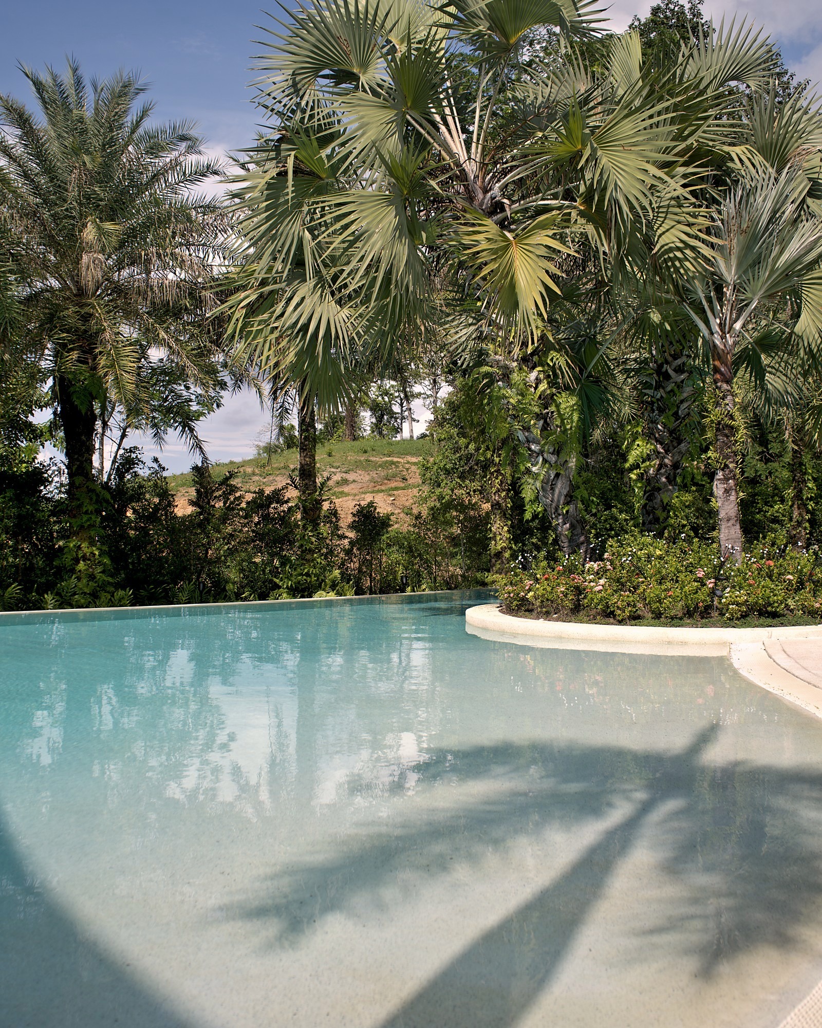 Firefly Pool — Palm Shadows