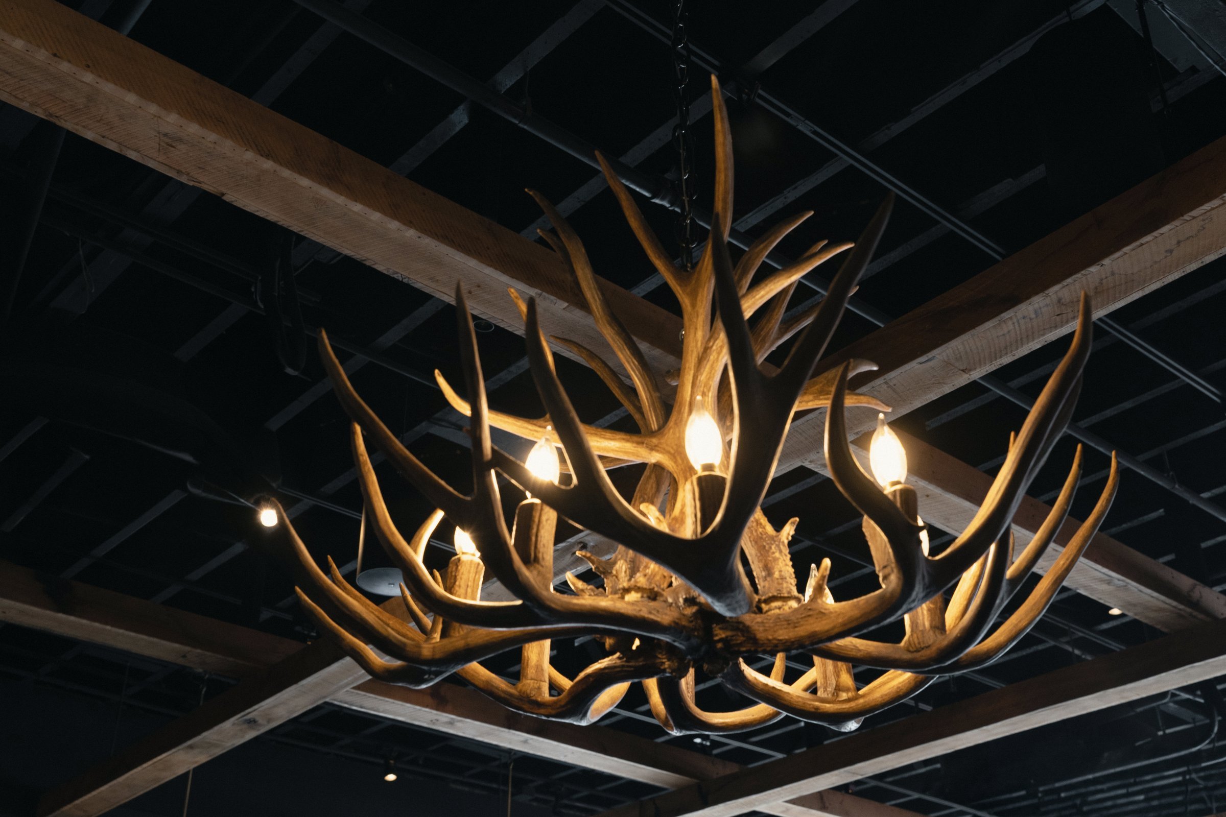 Raya Morris Edwards rebrand — The Urban Stillhouse