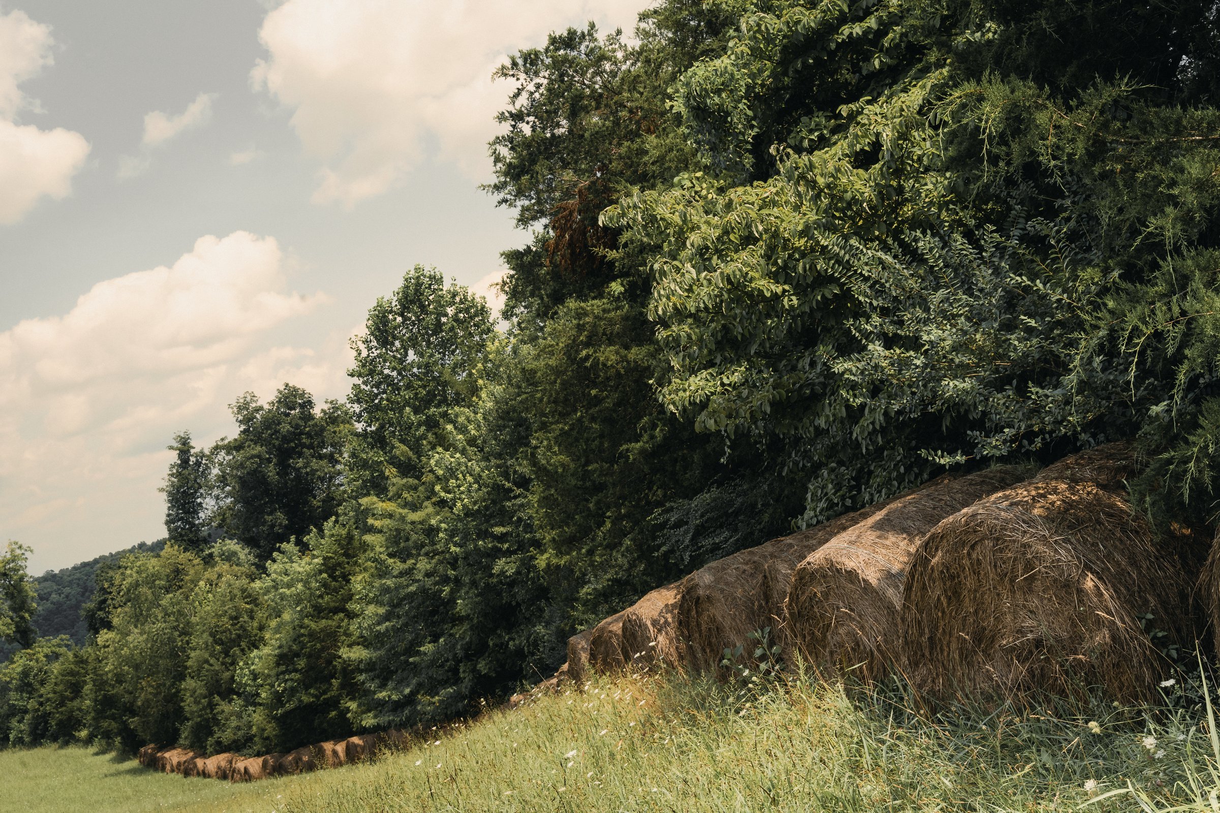 Raya Morris Edwards rebrand — The Grounds
