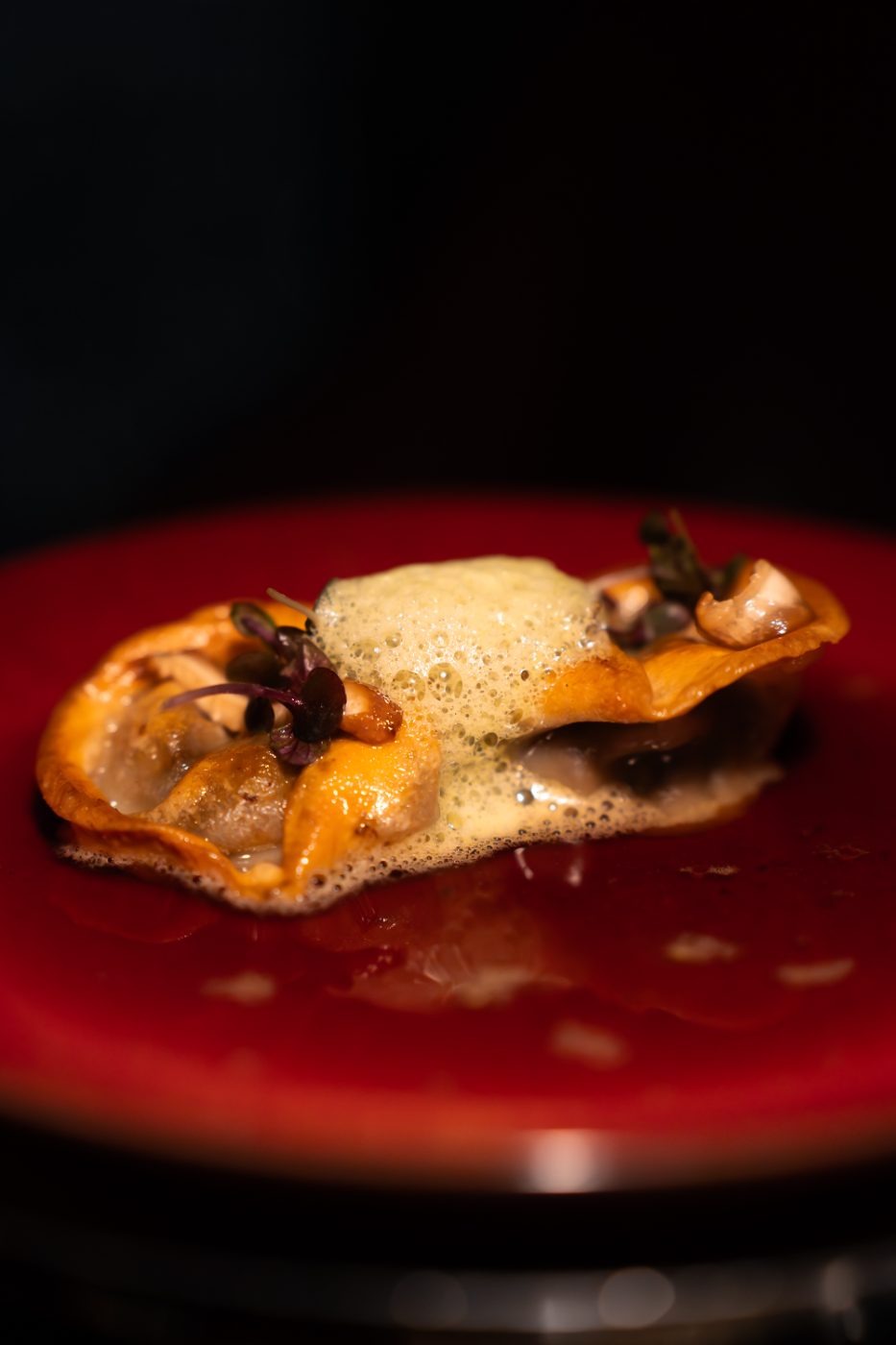 Mushroom Dumpling — Foam