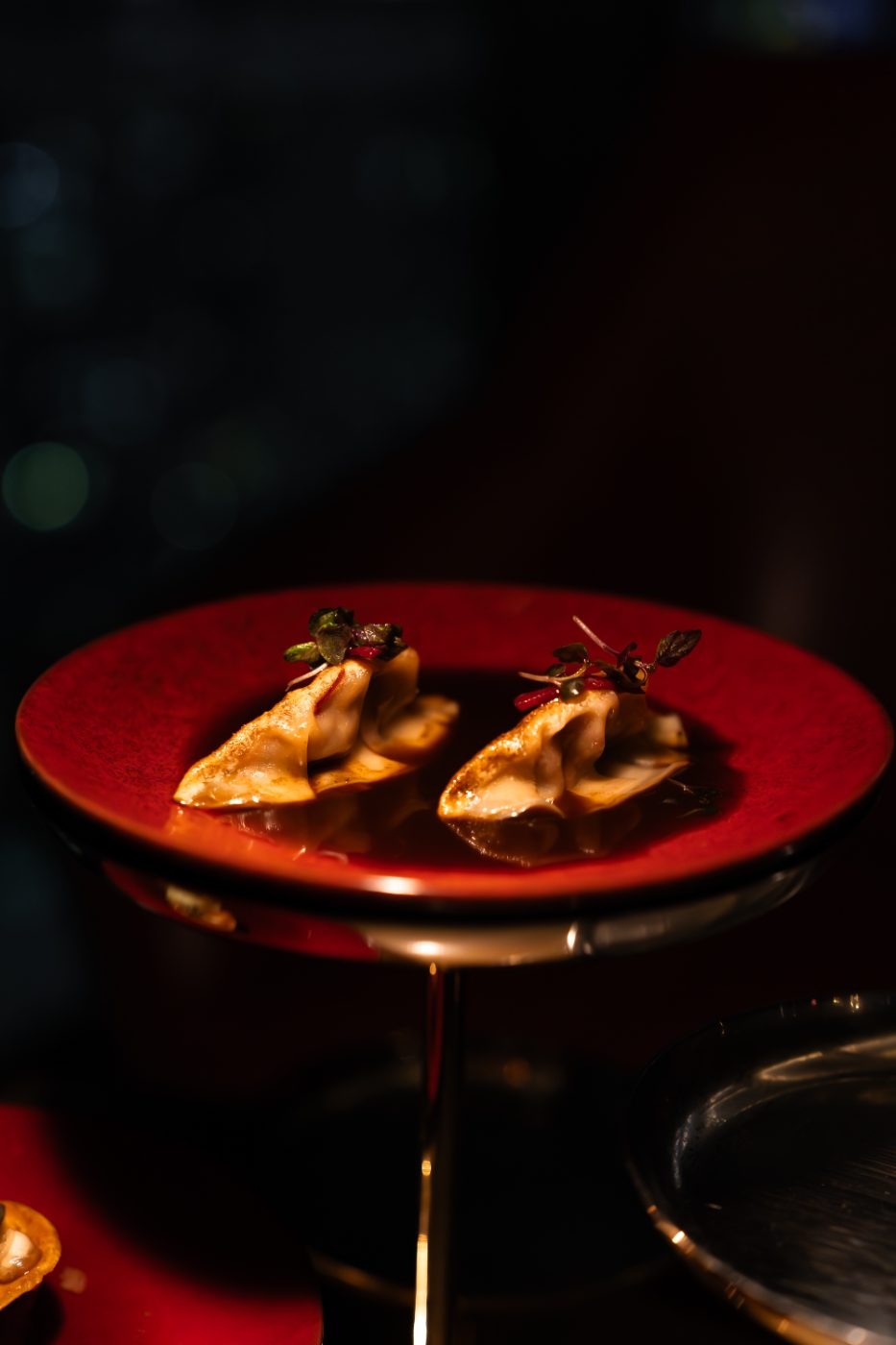 Gyoza — Dark Broth